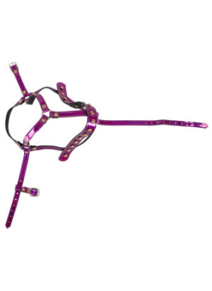 Head Harness
